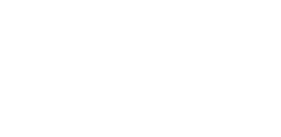 Schematischer Datenfluss bei Google Analytics